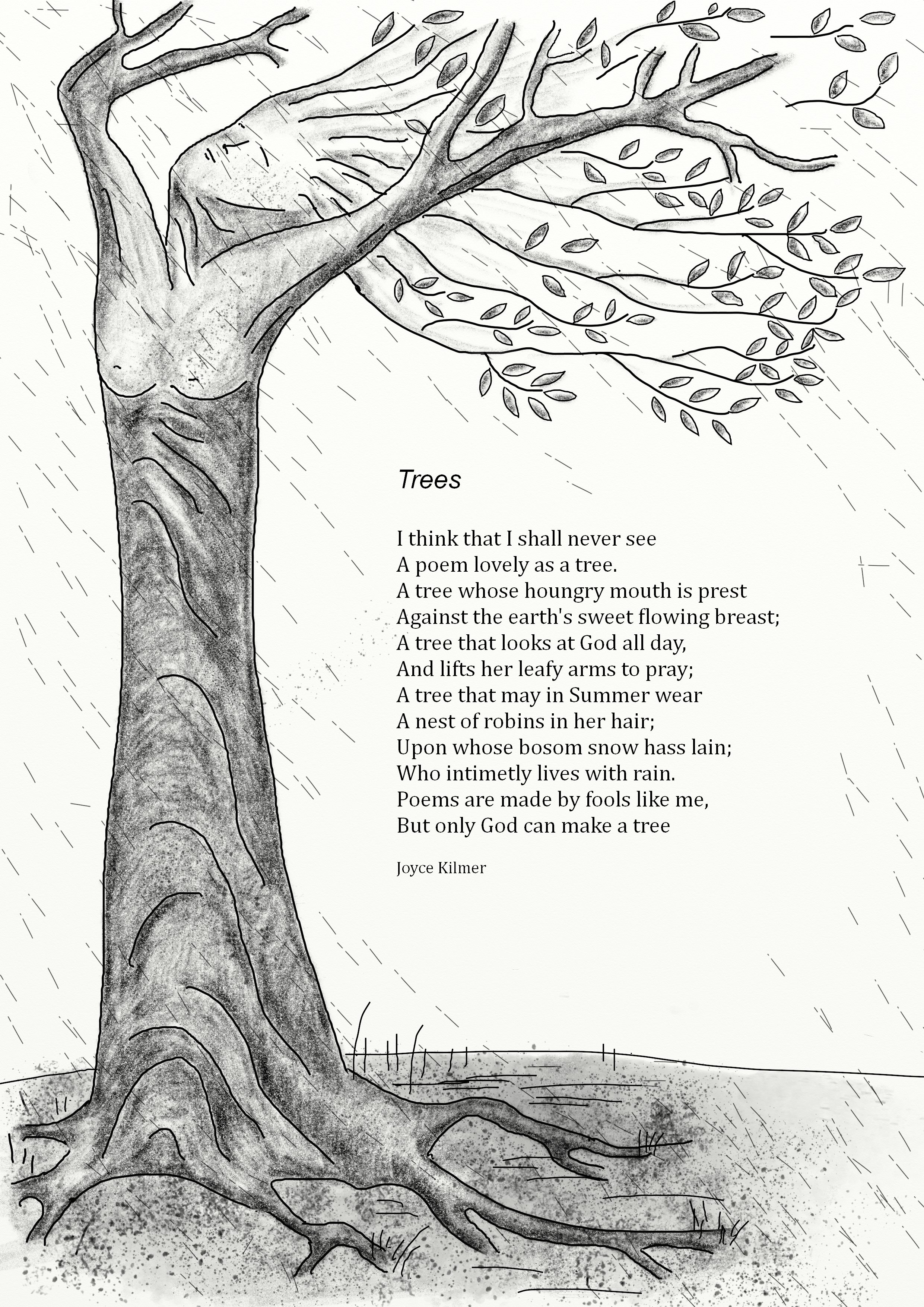 Trees
